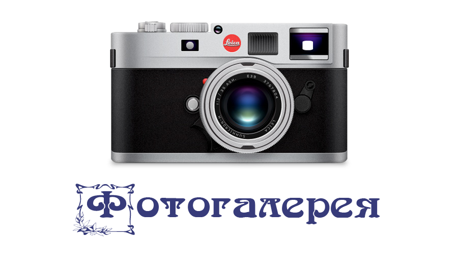 Фотогалерея 4dvor