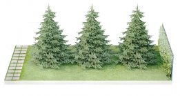 Ландшафтный модуль «Живая изгородь»